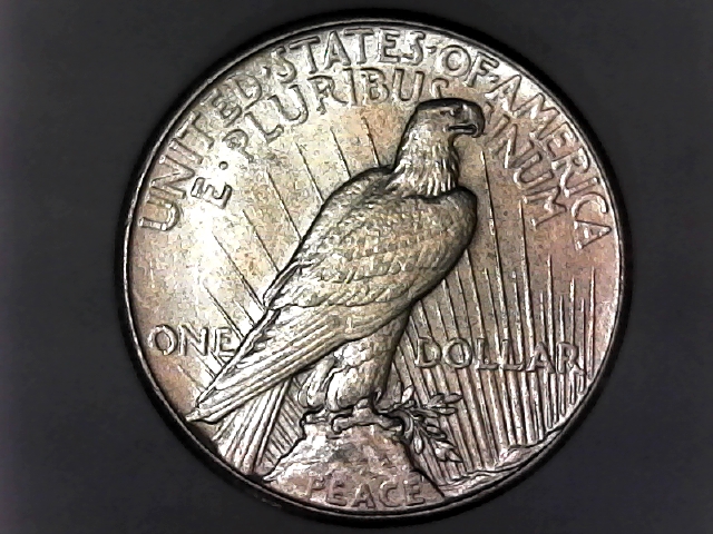 Grade-My-Peace-Dollar-And-A-Few-Questions-New-Pics