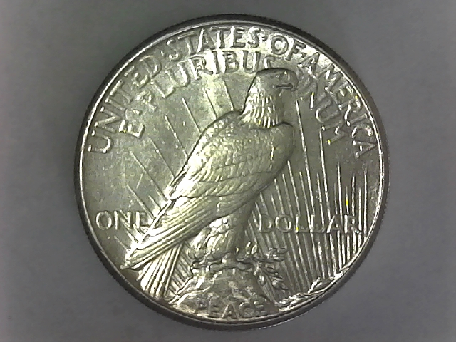 Grade-My-Peace-Dollar-And-A-Few-Questions-New-Pics
