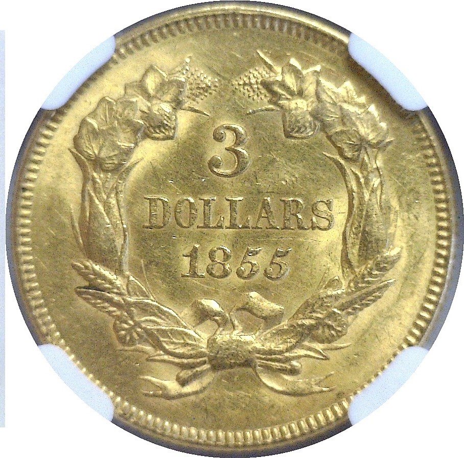 1855-Indian-Princess-Three-Dollar-Gold-Ngc-Vs-You