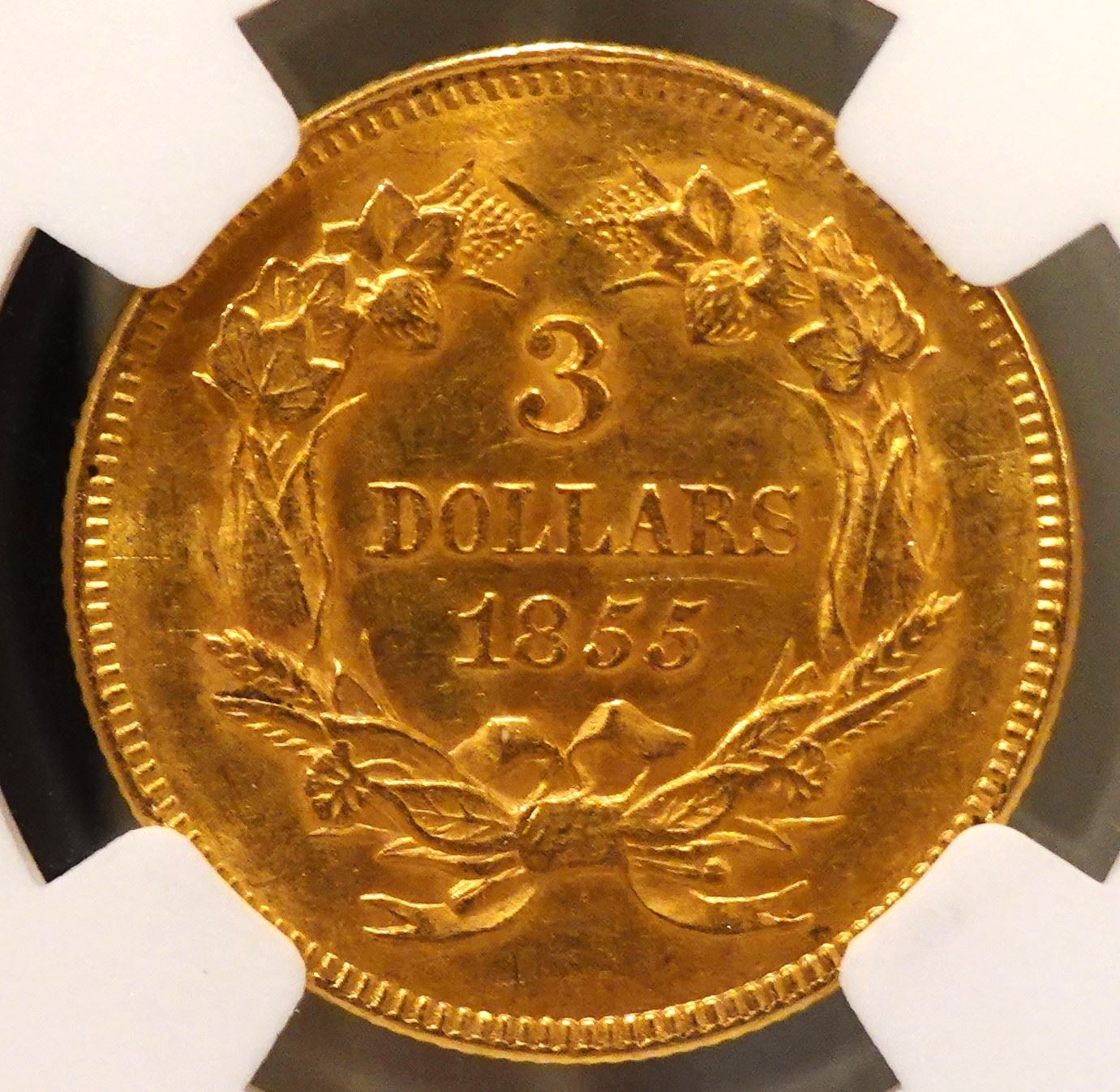 1855-Indian-Princess-Three-Dollar-Gold-Ngc-Vs-You