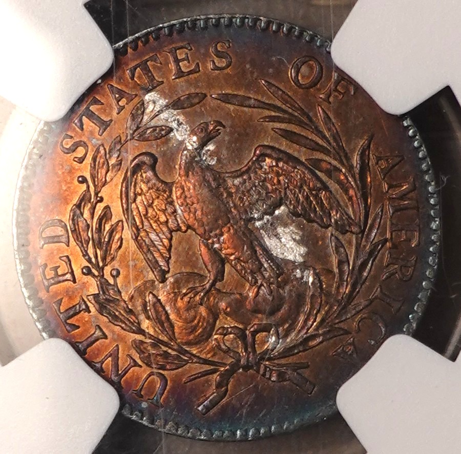 1796-Draped-Bust-Dime-NGC-Vs-You