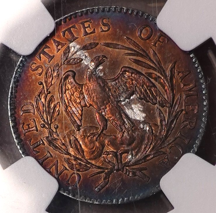 1796-Draped-Bust-Dime-NGC-Vs-You
