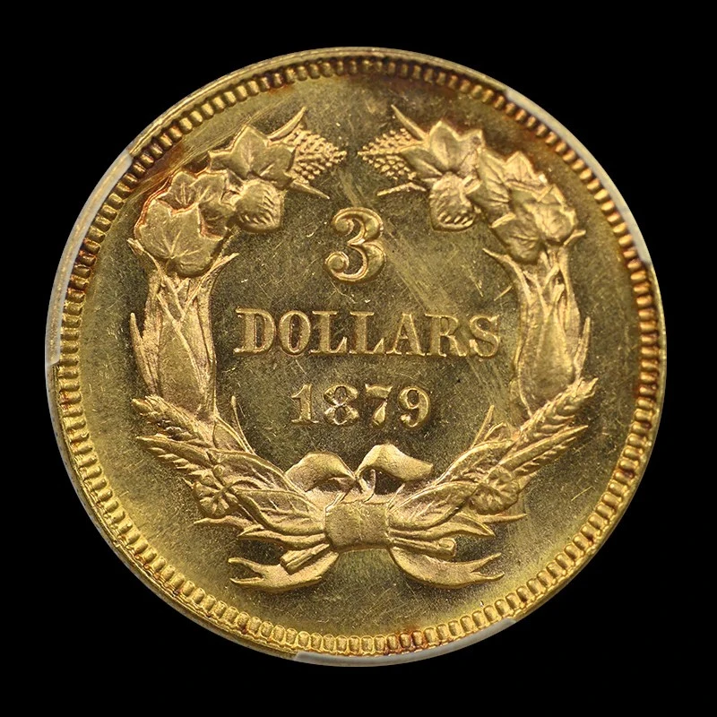 1879-$3-Indian-Princess-PCGS-Vs-You