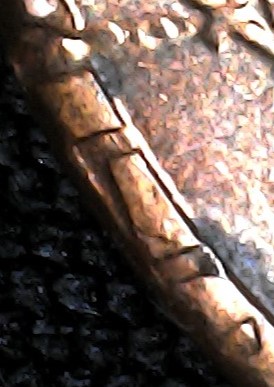 2004-D-LMC-Die-Marks