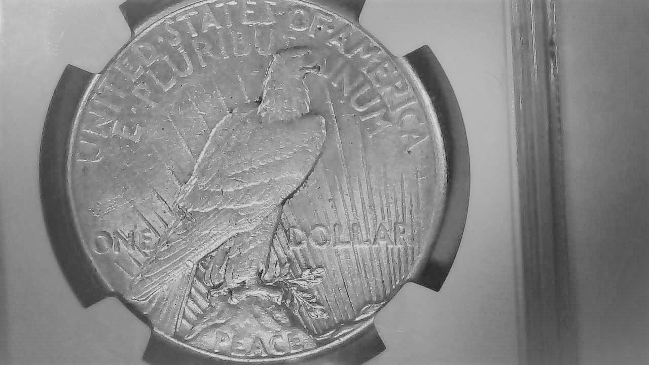 1928-P-Peace-Dollar-Grade