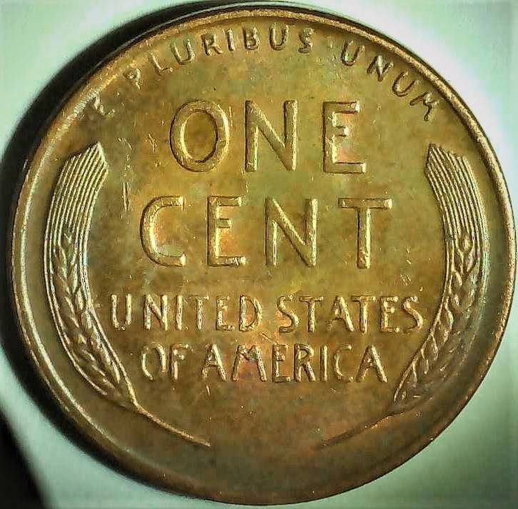 1955-D-Lincoln-Wheat-Cent-Opinion