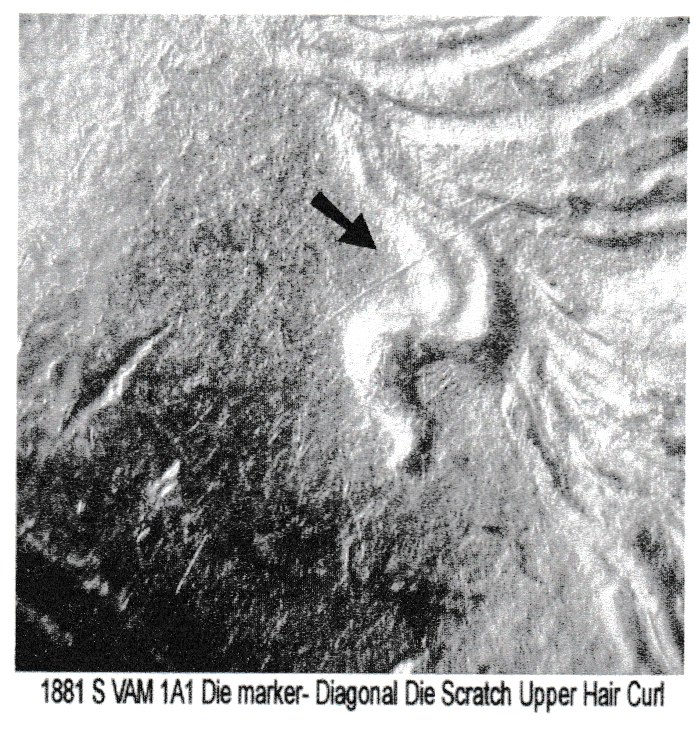 1881-S-Morgan-Dollar:-Heavy-Die-Chips-On-Date-&-Stars-/-Light-Doubling-To-Some-Stars/Letters