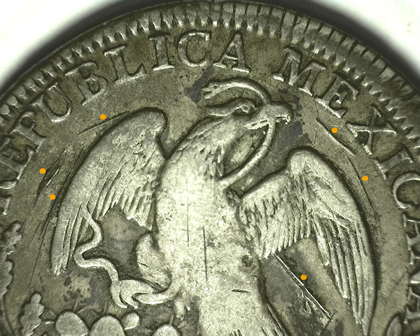 8-Reales-Posted--Looking-For-Observations-&-Comments