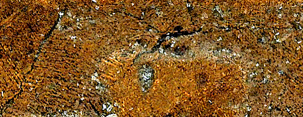 One-More-Oddball-Mexico-8-Reales