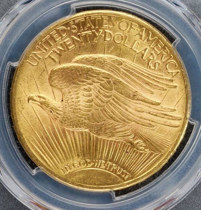 You-Vs-PCGS-20-Dollar-1909-S-St.-Gaudens