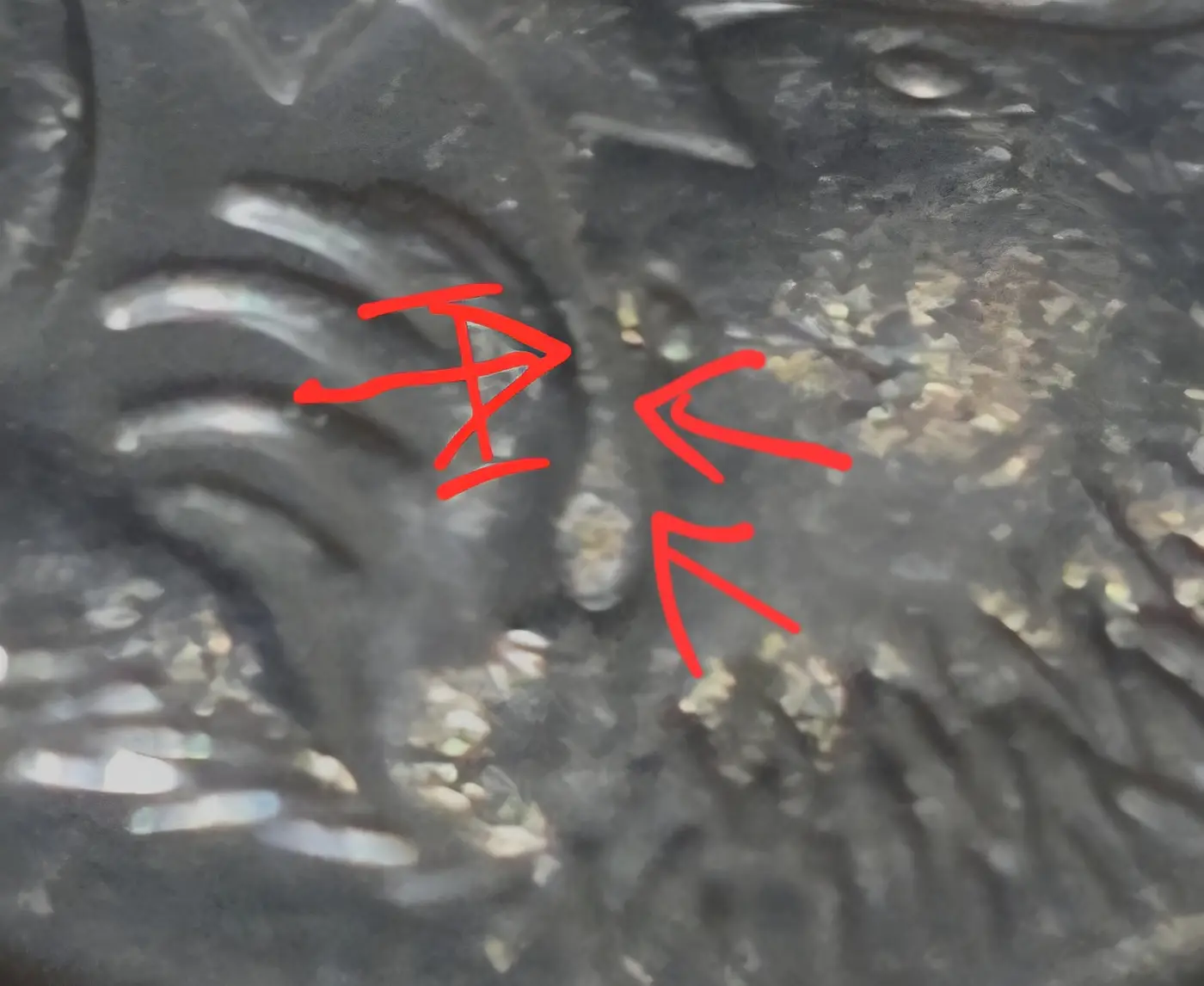 2019-Australian-Irb-5-Cent-Die-Clash