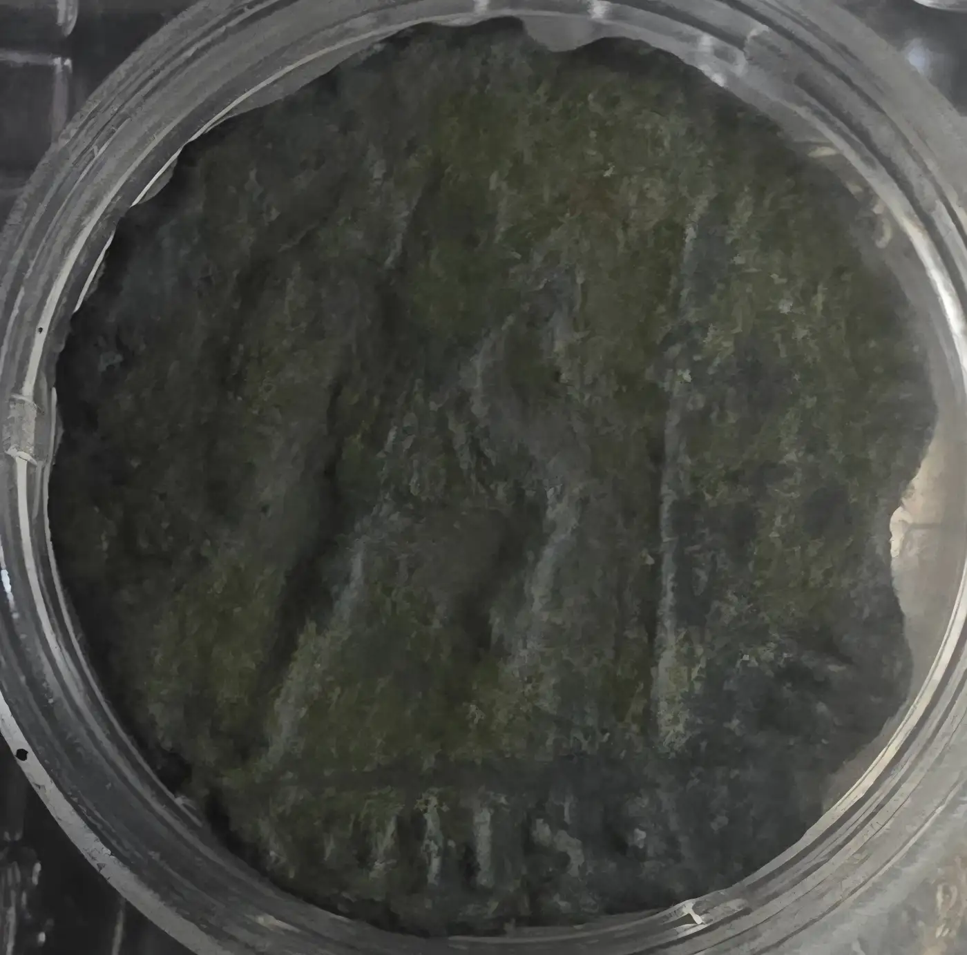 Bronze-Coin-Identification-#2-Gladiator-Coin