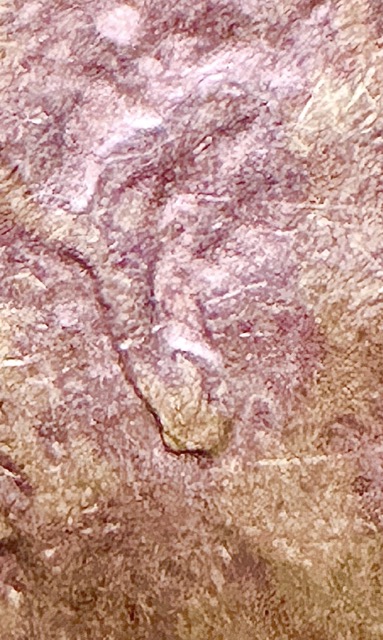 2014-Penny-Extra-Cud,-Lamination-Issue?