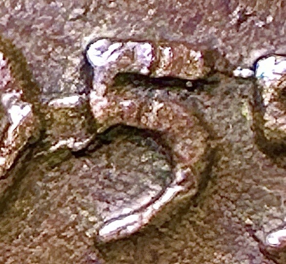 1955-Lincoln-Cent--Poor-Man's-DD,-Die-Crack,-Retained-Cud,-Die-Chip-