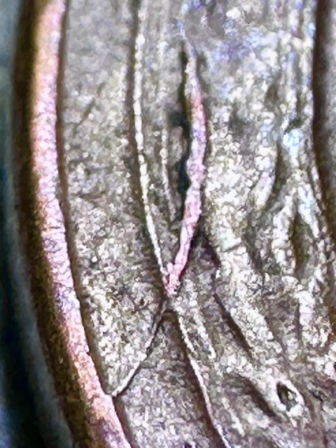 1955-Lincoln-Cent--Poor-Man's-DD,-Die-Crack,-Retained-Cud,-Die-Chip-