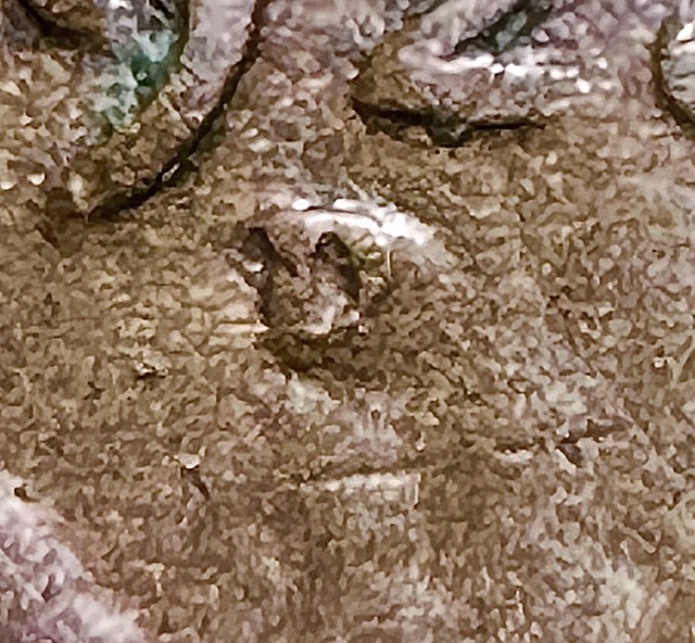 1928-D-Lincoln-Wheat-Cent--Spike-Head,-RPM,-Lam,-DDD,-Die-Chip-