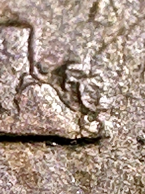 1961-D-Lincoln-Cent--Bie?