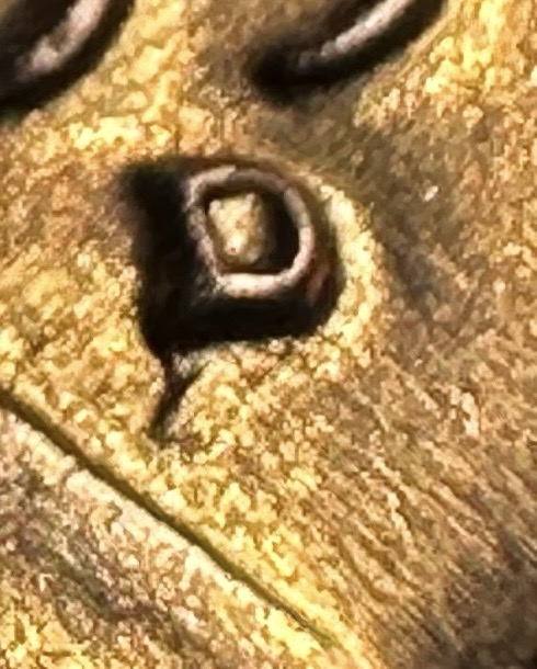 1959-D-Lincoln-Cent--Die-Chip/Crack-