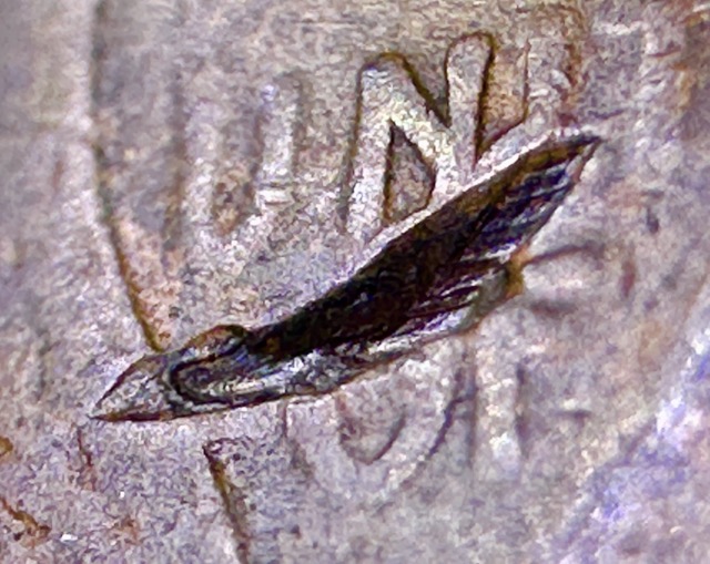 1921-Lincoln-Wheat-Cent-Rotated-Die,-Lam,-Or-Defective-Planchet?