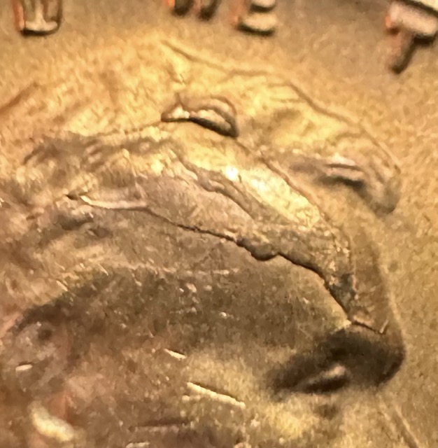 1956-Lincoln-Cent-Cracked-Skull