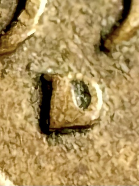 1952-D-Lincoln-Cent-D/D/D/D-Quadruped-Serif?