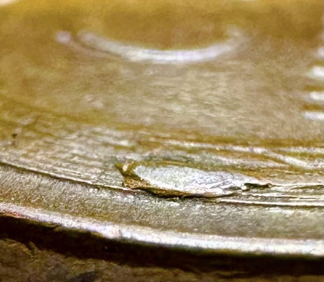 1953-Lincoln-Cent--Pre-Cud?