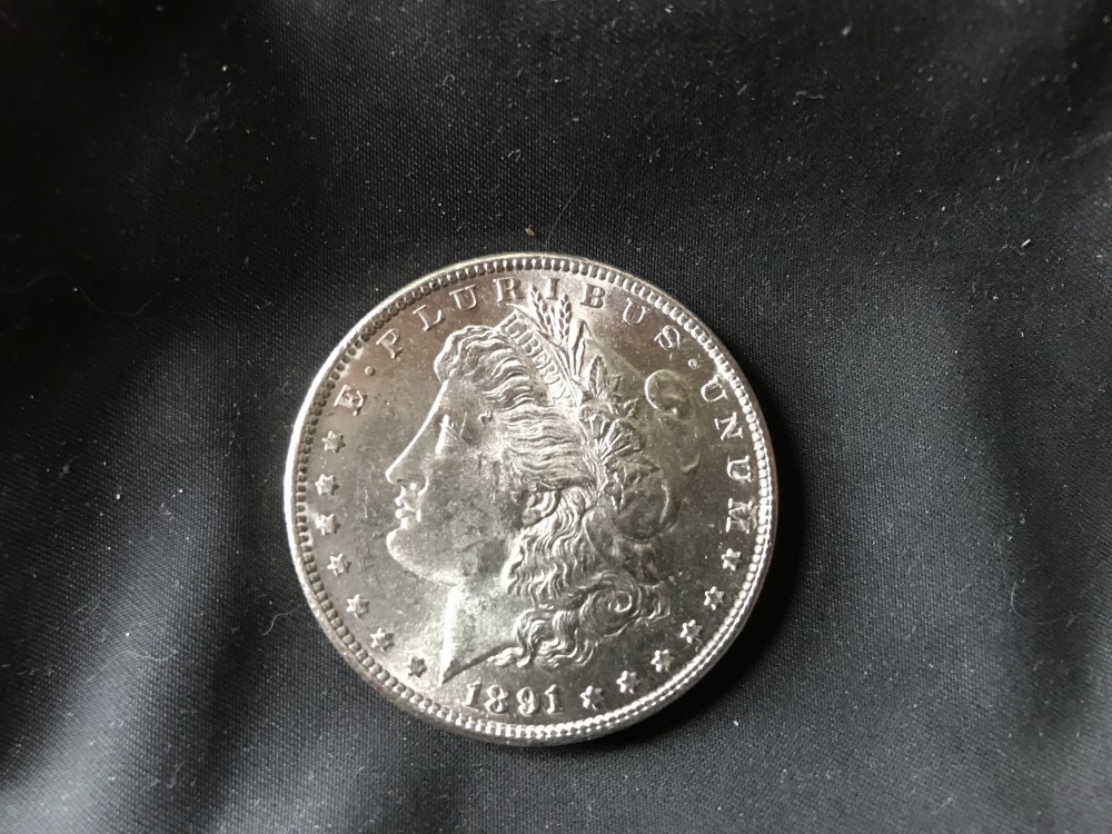 1891-S-Morgan-$-Your-Grade-Please