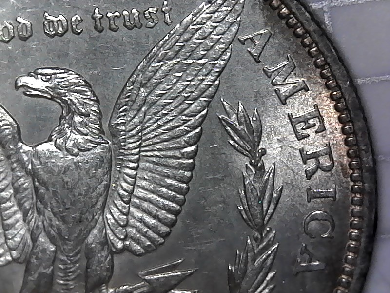 1879-O-Morgan-Should-I-Send-To-PCGS>?