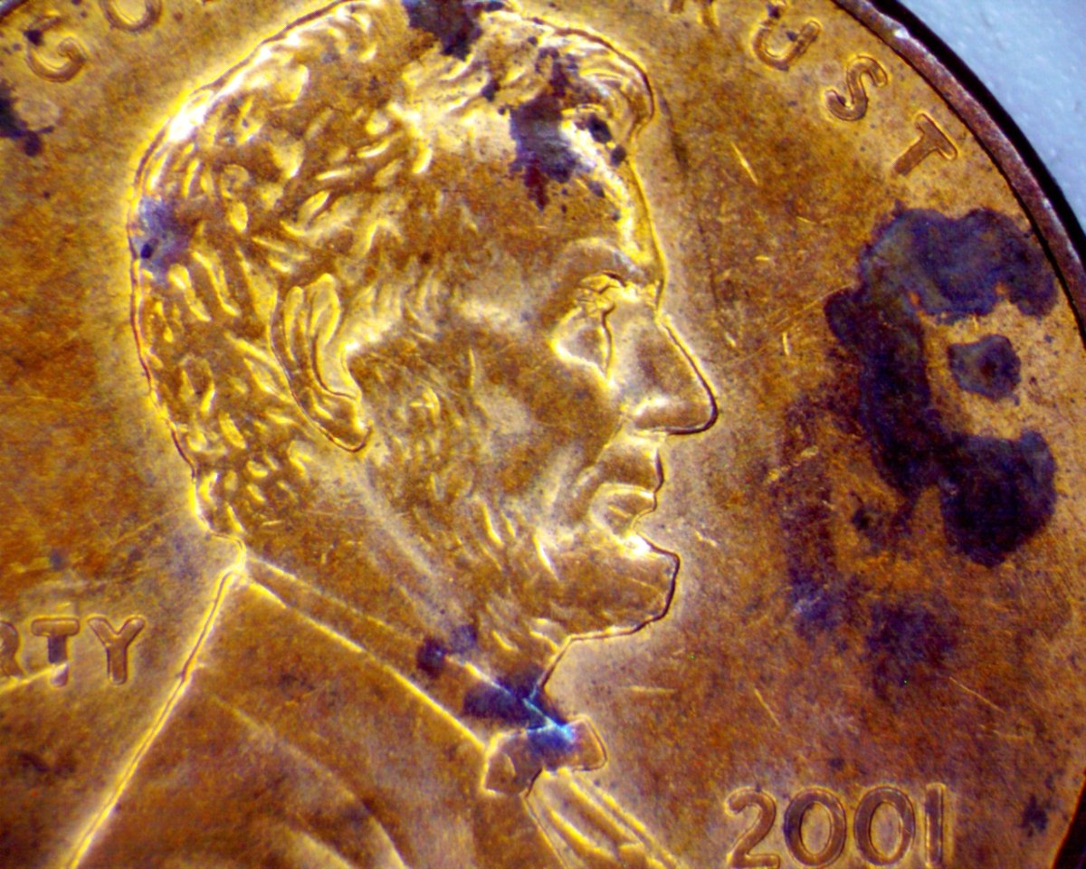 2001-D-LMC-With-Something-Going-On-With-The-Eye-Area-Of-Lincoln.