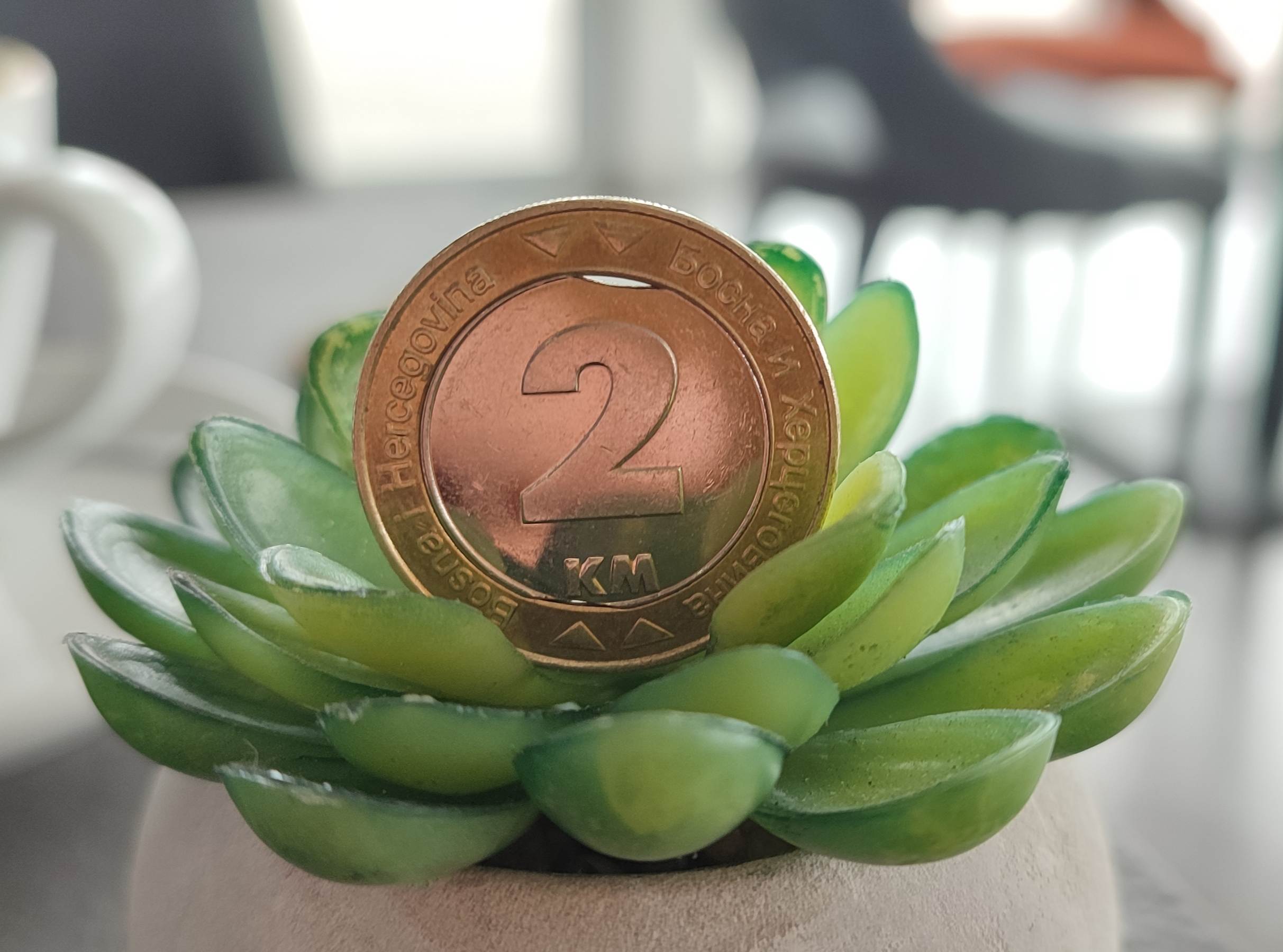 2-Konvertibilne-Marke-2019-Bosna-I-Hercegovina