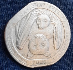 2020-P-Washington-Quarter-Possible-Clip