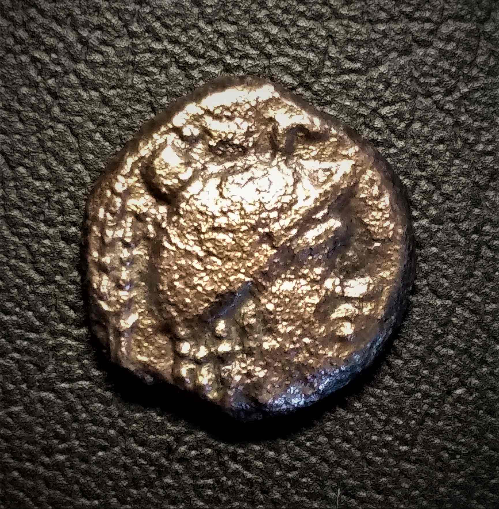 Need-Help-To-Id,-Please