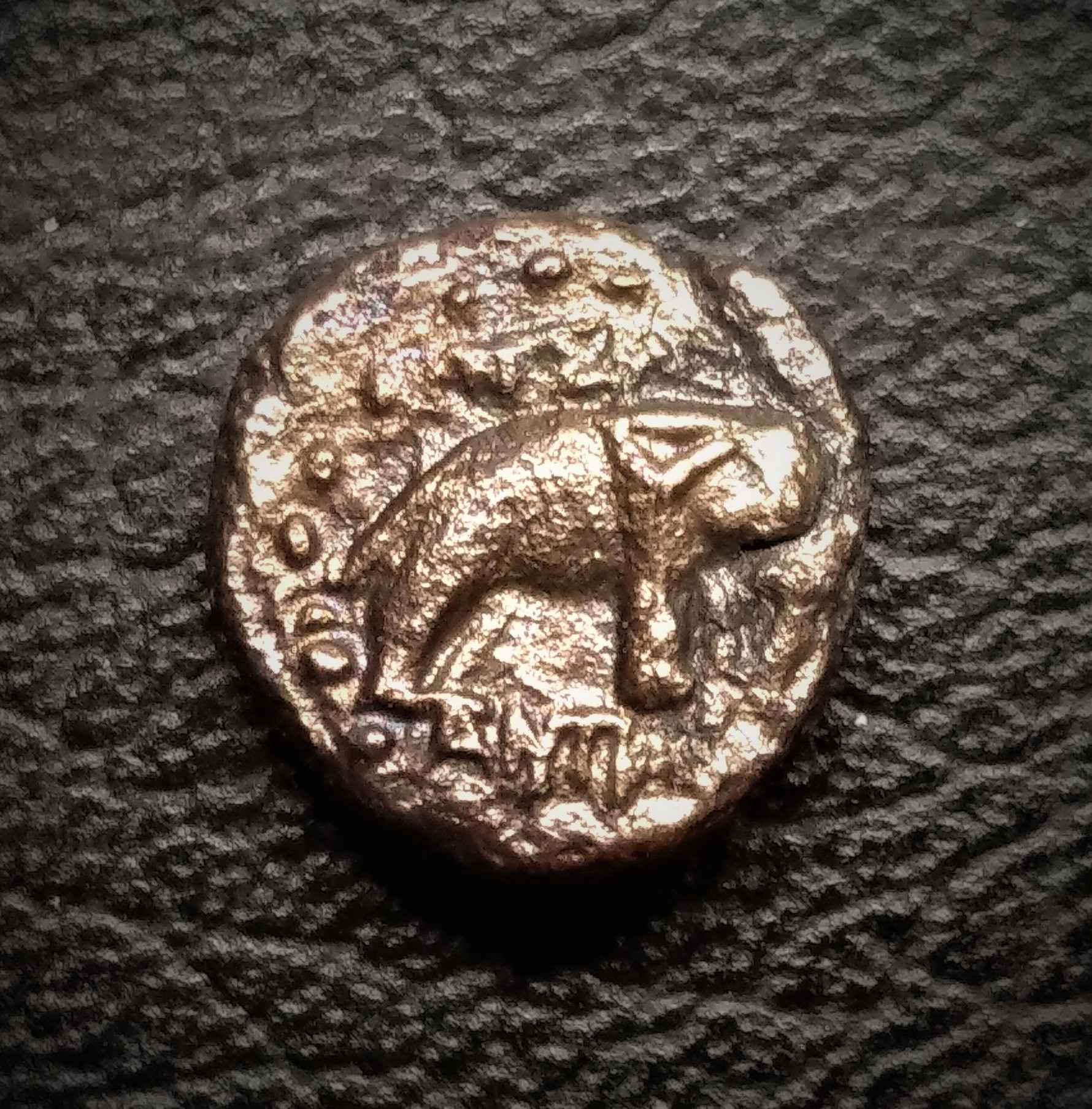 Need-Help-To-Identify