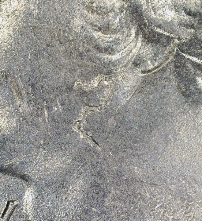 2019-W-American-Memorial-Strike-Through-Obverse