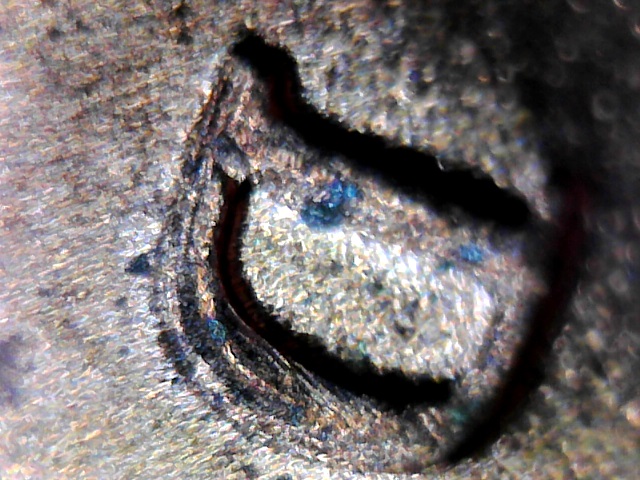 Is-This-A-Little-2015-One-Cent---Lincoln---Doubled-Die-Obverse?
