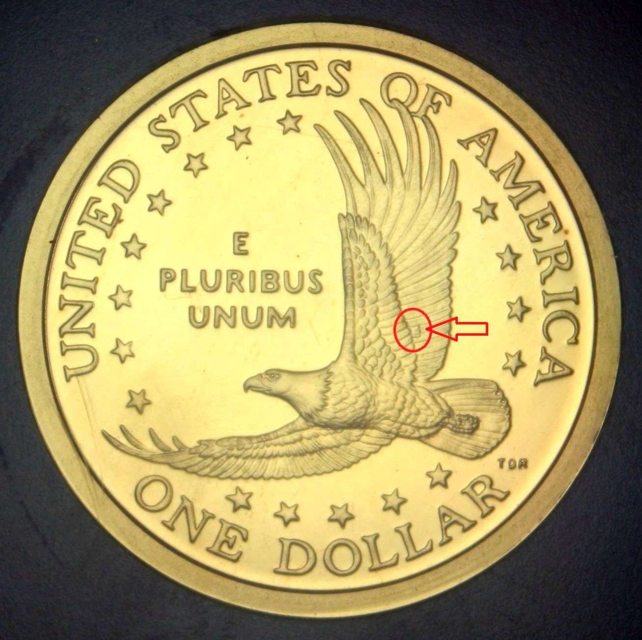 2001-S-Sacagawea-Error?-Dollar