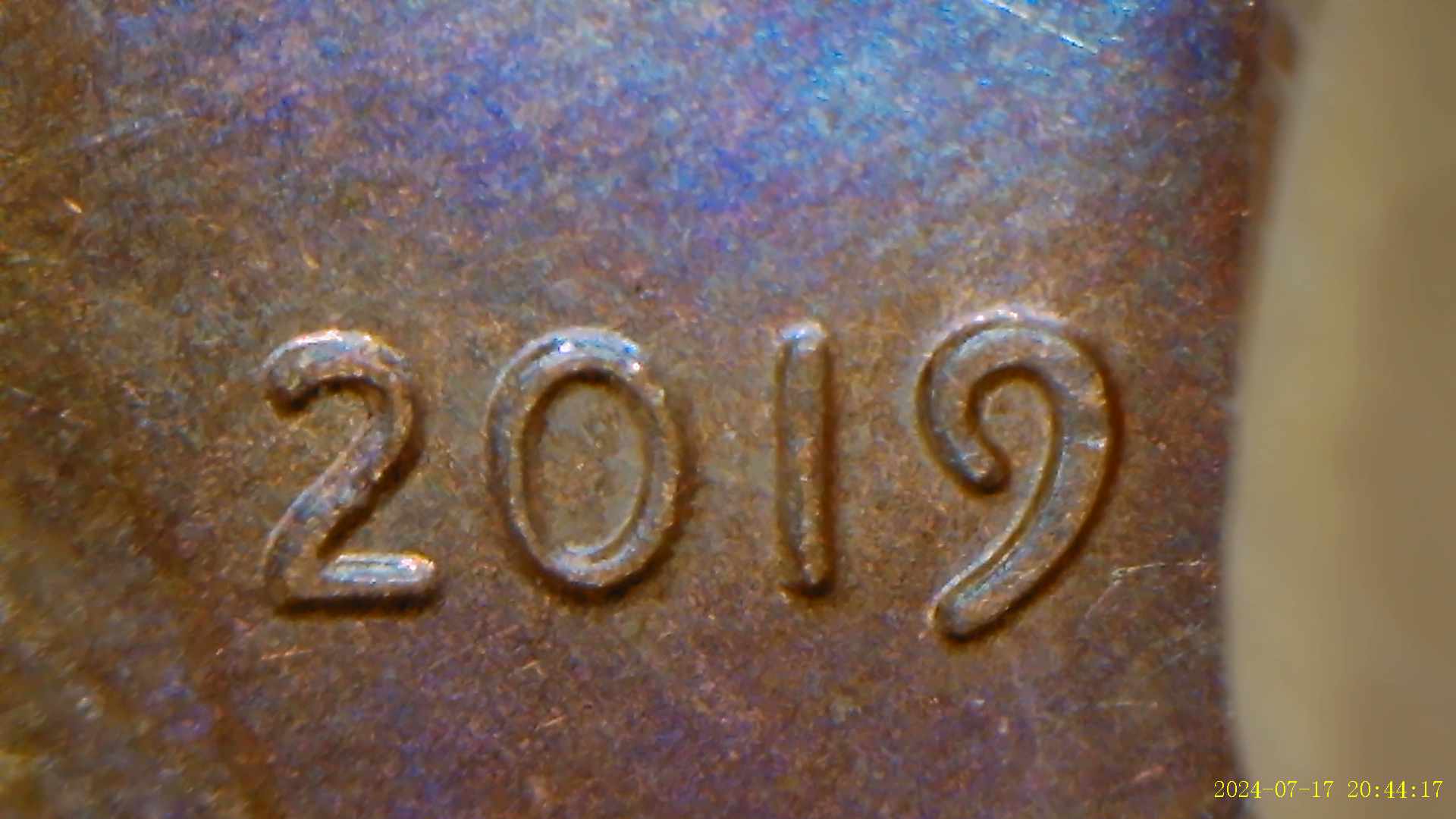 2019-With-Possible-DDO?