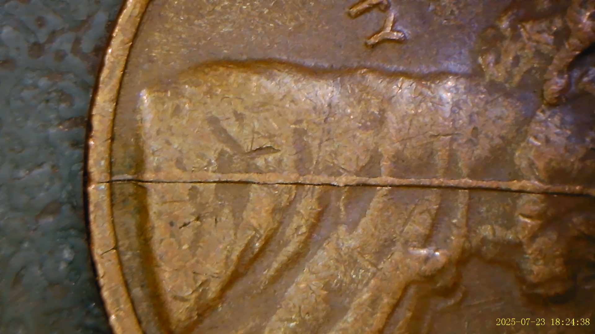 1981-LMC-With-Possible-Die-Crack-Across-Obverse.