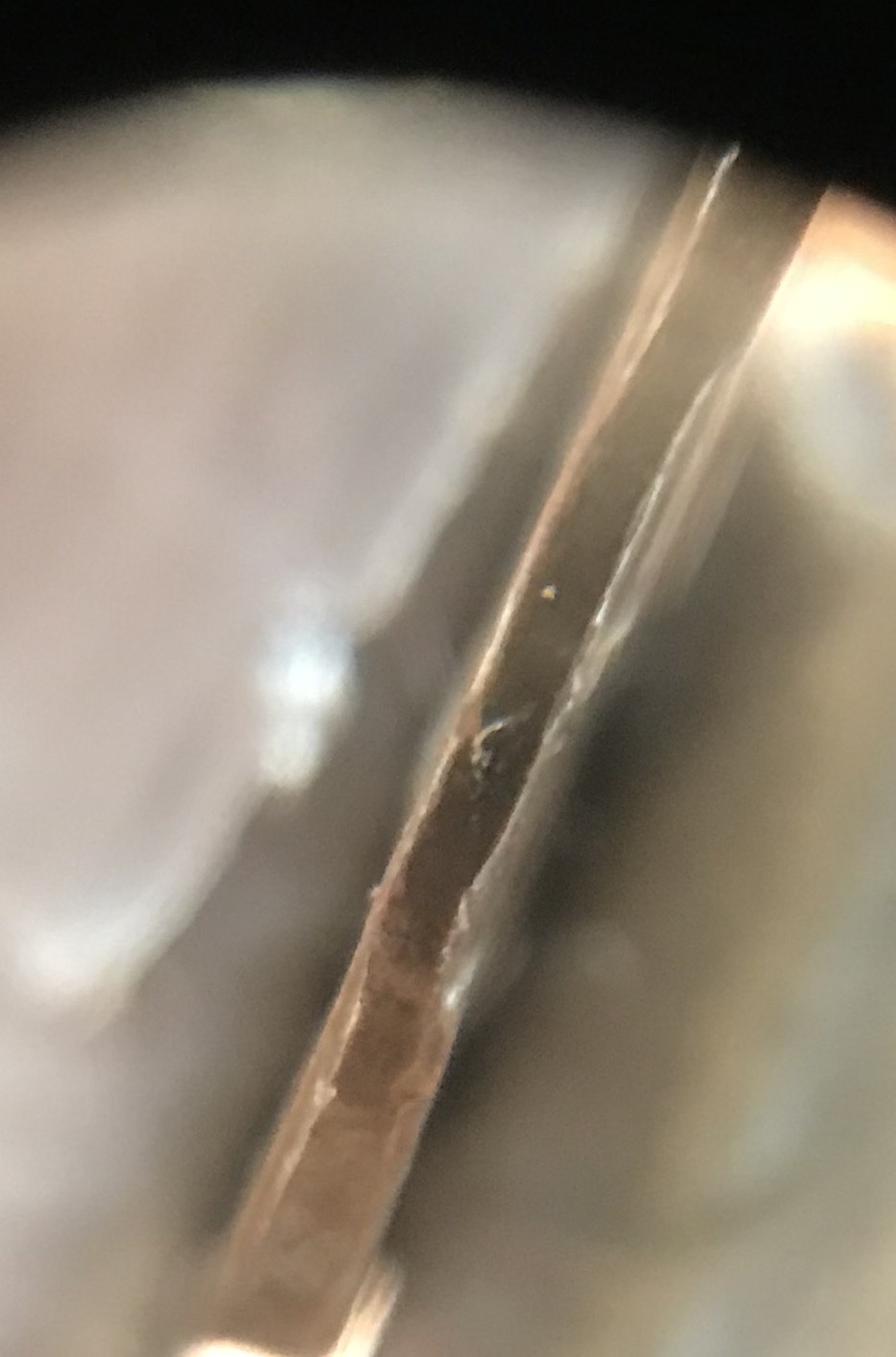 I-Found-Something-Interesting.-What-Is-This?-1996-D-Cent.