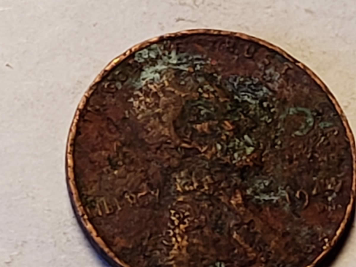 Did-I-Really-Find-A-1944-D-Steel-Wheat-Penny?!?!
