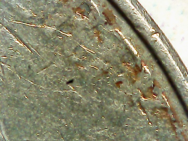 2004-P-Nickel-Stuck-Through-Grease?-Almost-All-Front-Lettering-Missing
