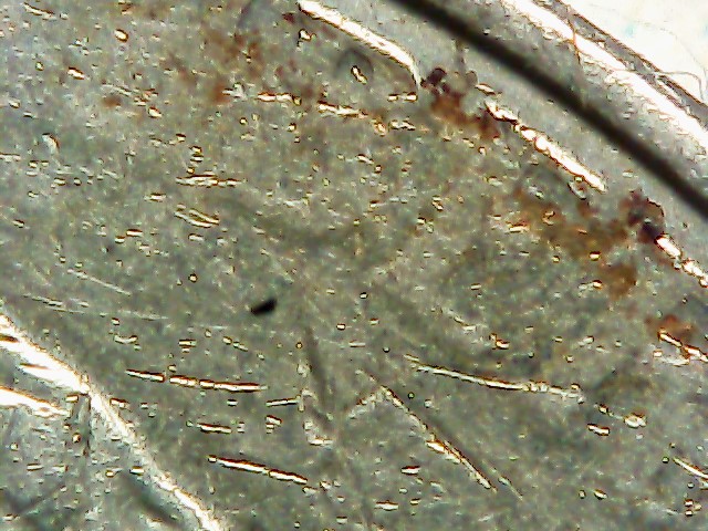 2004-P-Nickel-Stuck-Through-Grease?-Almost-All-Front-Lettering-Missing