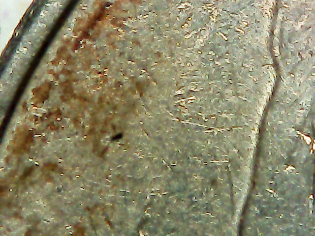 2004-P-Nickel-Stuck-Through-Grease?-Almost-All-Front-Lettering-Missing