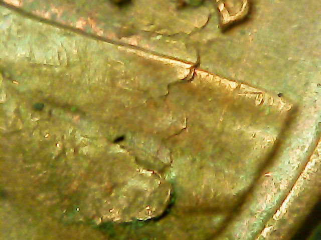 Is-This-A-Die-Break?-1958-Wheat-Penny