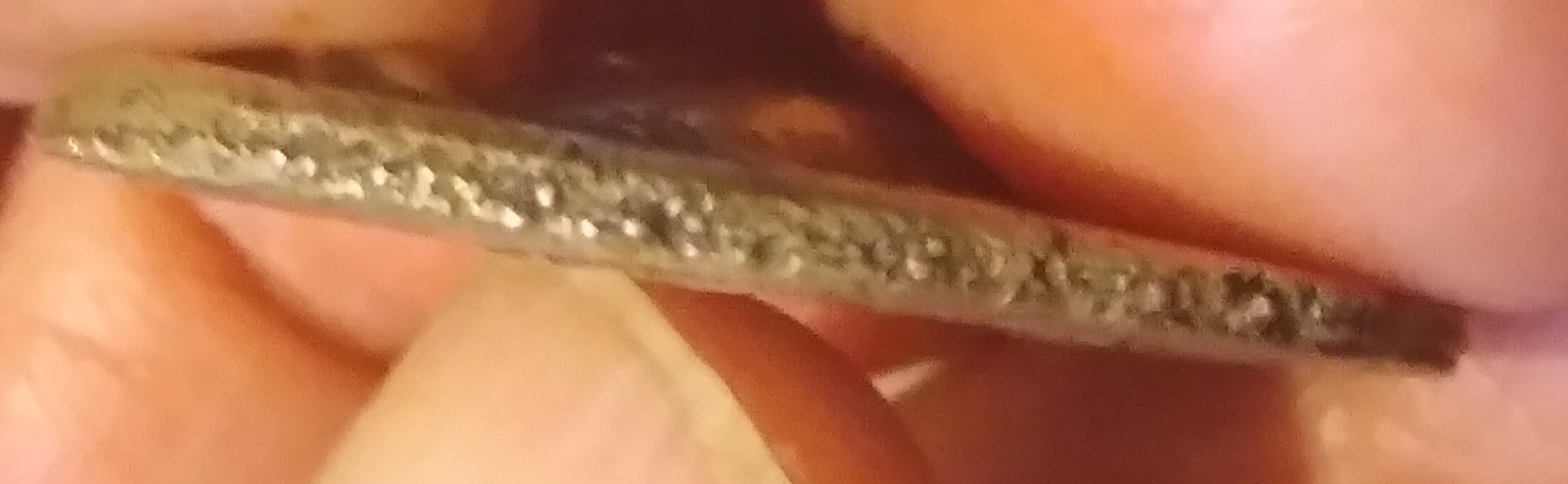 Fake-Or-Real-Greek-Coin