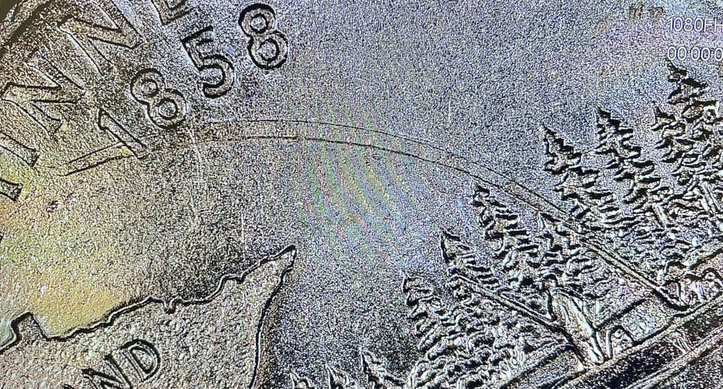 2005-D-Gold-Minnesota-Q-Reverse-Error-Help
