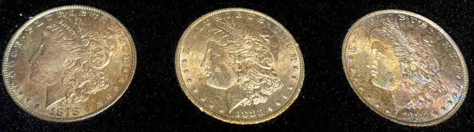 What-Grade-Morgans-And-?-Worth-Cost-Of-Grading