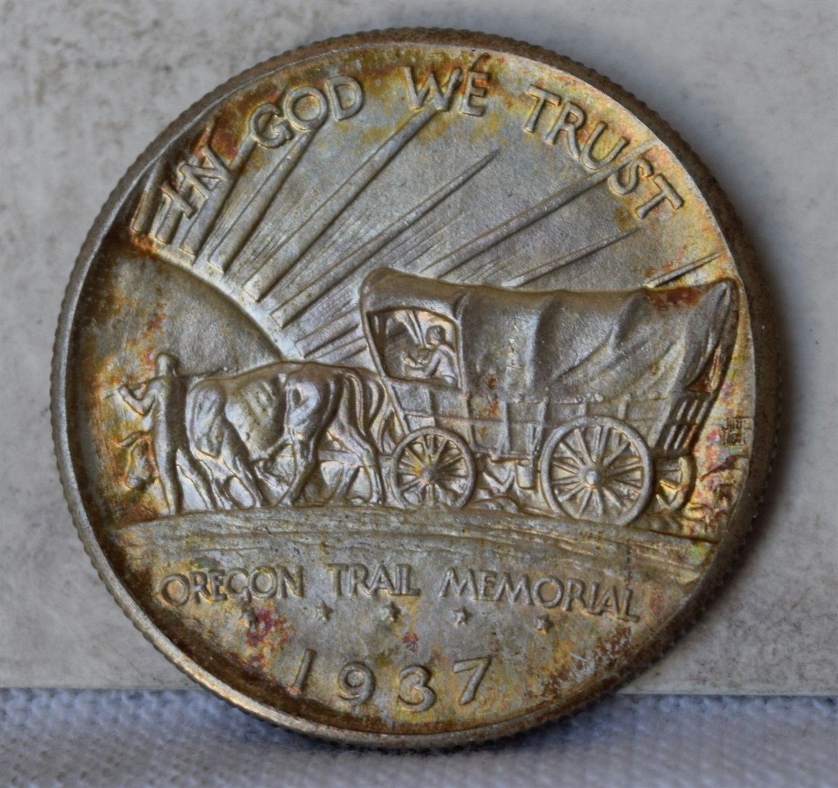 New-Purchases-2-Norfolks,-Oregon,-And-Missouri.-Comments-And-Grades-Please