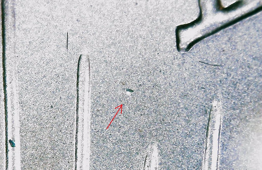 2021-Peace-Dollar-Defects/Damage-Found