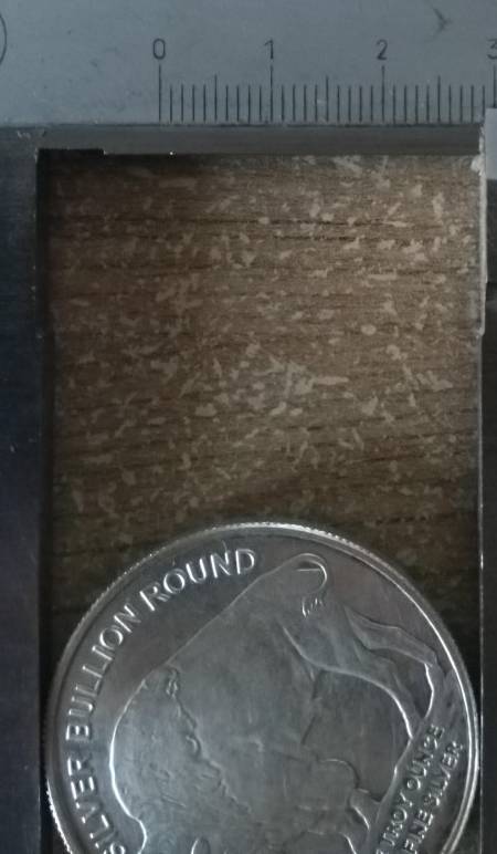 1-Oz-Silver-Buffalo-Round-Compendium
